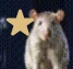 RATSTAR