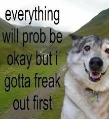 goofy cute dog in a nice green hilly landscape
text caption: everything will prob be ok but i gotta freak out first