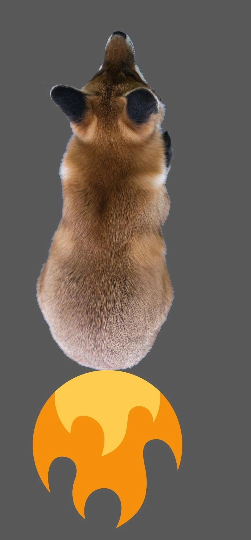 same image but flipped vertically, also there is a fire emoji shooting out of its butt